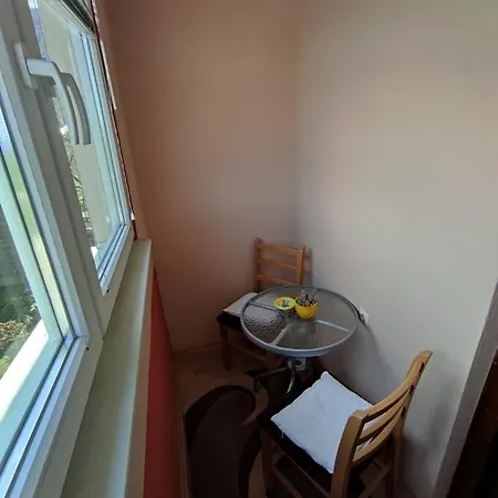 Muzur * サラエヴォ