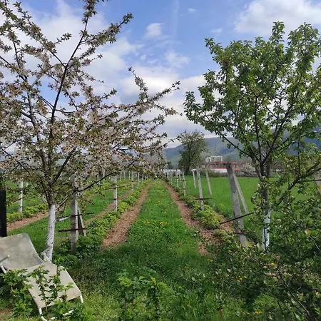 アパート Muzur *