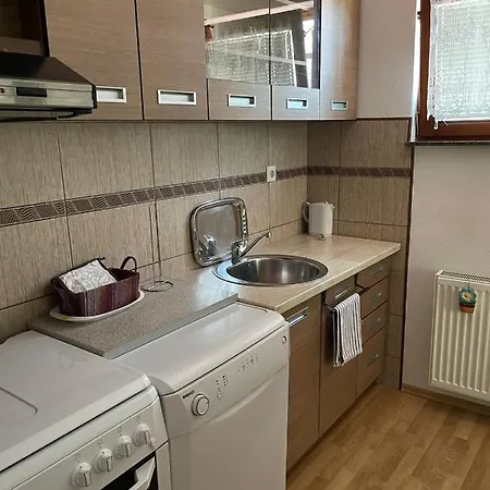 Apartment Muzur *